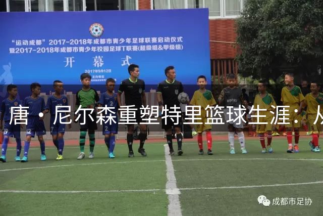 唐·尼尔森重塑特里篮球生涯：从低谷到巅峰的转型之路